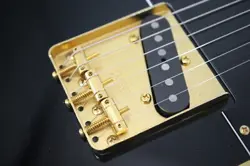 FENDER JAPAN TLG80-60