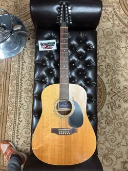 12-STRING ACOUSTIC GEMINI