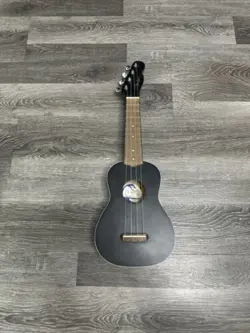 *VENICE CALIFORNIA COAST