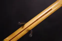 FENDER PLAYER PLUS TELECASTER