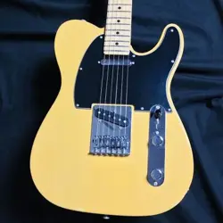 FENDER PLAYER TELECASTER  NECK BUTTERSCOTCH BLONDE 2019