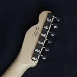 FENDER AMERICAN PERFORMER TELECASTER   HONEY BURST