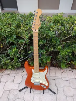 CANDY TANGERINE MAPLE