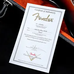 2009 R45357 ELECTRIC