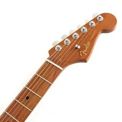 STRATOCASTER HSS AMETHYST/ROASTED