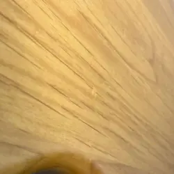 FENDER TOMOMI P BASS