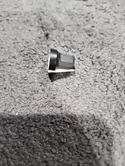 WHITE POINTER PRINCETON