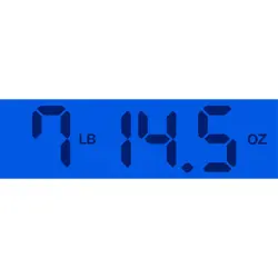 PLAYER STRATOCASTER FSR