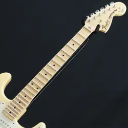 SIGNATURE STRATOCASTER MN