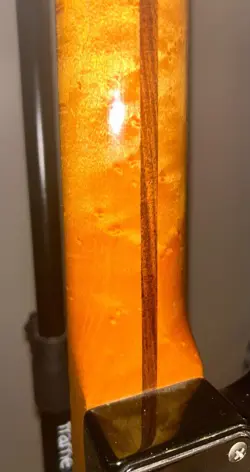 ELECTRIC GUITAR BIRDSEYE