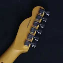 FENDER AMERICAN PROFESSIONAL II TELECASTER   OLYMPIC WHITE