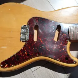 TORTOISE PICKGUARD 12