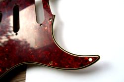 PICKGUARD NITRATE