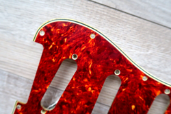 TORTOISE CELLULOID USA