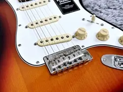 SUNBURST ROSEWOOD 2024