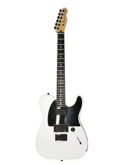 FENDER MEXICO ELECTRIC GUITAR JIM ROOT TELECASTER 2011 MADE