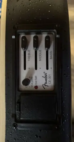 ELECTRIC/ACOUSTIC GUITAR