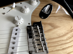 PROFESSIONAL STRATOCASTER USA
