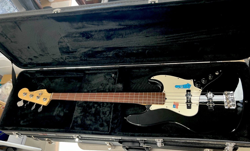 FRETLESS 2006