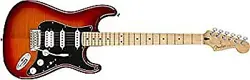 FENDER PLAYER STRATOCASTERR