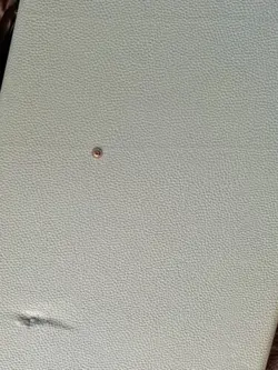 LIMITED-EDITION CASE