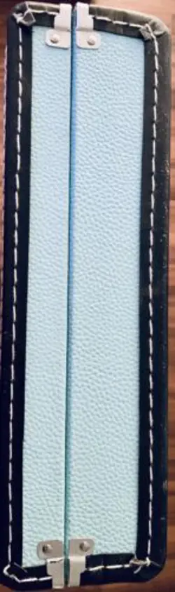 LIMITED-EDITION CASE SONIC