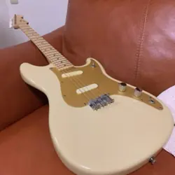 FENDER SQUIER NO.LG1041