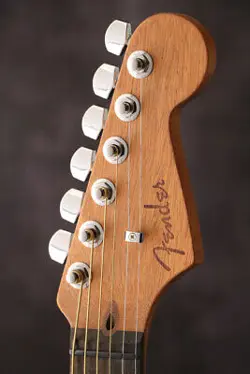JAZZMASTER ALL-MAHOGANY EBONY