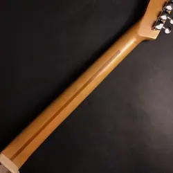 FENDER MEXICO TELECASTER 1995-1996