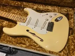 FENDER ERIC JOHNSON THINLINE STRATOCASTER VWT