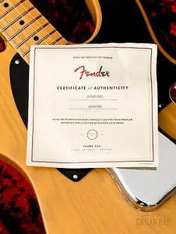 TELECASTER BUTTERSCOTCH MINT