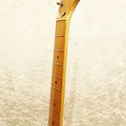 FENDER JAPANST-STD
