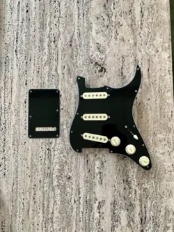 LOADED PICKGUARD BACKPLATE