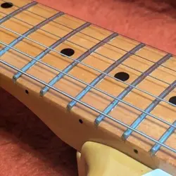 FENDER JAPAN CUSTOM EDITION 1954 LS