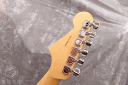 PROFESSIONAL JAZZMASTER SAFE