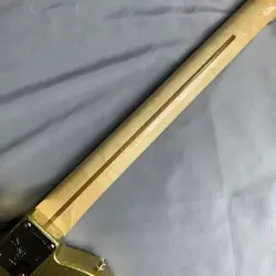 TELECASTER GOLD SAFE