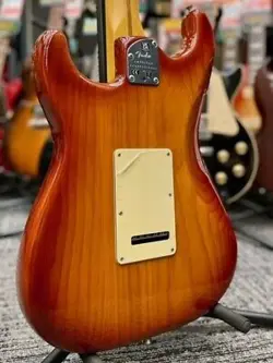 SUNBURST MAPLE- 2023
