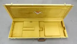 SHOP STRATOCASTER CASE