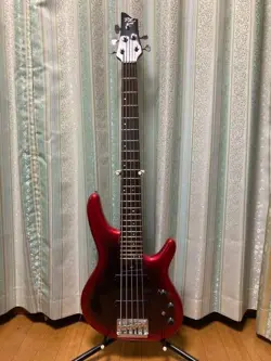 5-STRINGS BASS