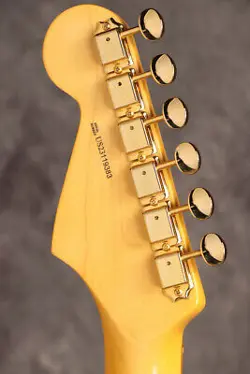 SRV STRATOCASTER COLOR