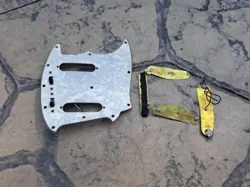 PICKGUARD AND GROUNDING