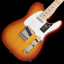HONEY BURST S/N:US24000705
