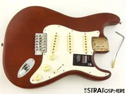 LOADED BODY SASSAFRAS