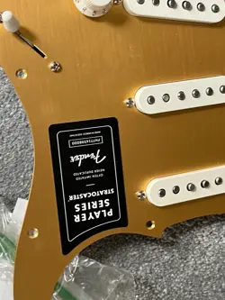 ANODIZED LOADED PICKGUARD