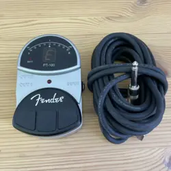 CLEAN FENDER PT-100