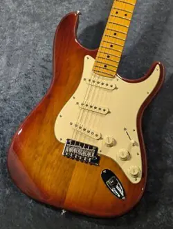 -SIENNA SUNBURST- SAFE