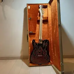 TELECASTER USA JAMES