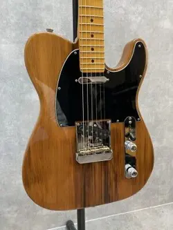 FENDER AMERICAN PROFESSIONAL II TELECASTER 2022 ELECTRIC GUTIAR [AUTH]