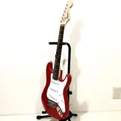 STRINGS REPLACED SERVICED