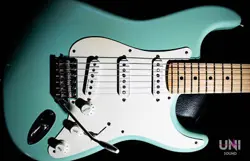 SIGNATURE STRATOCASTER 2010